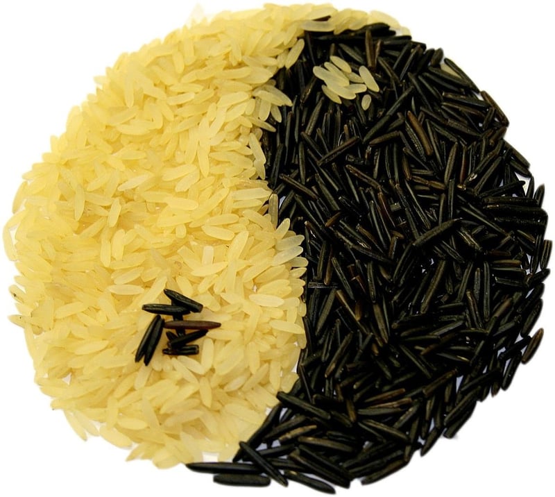 Yin Yang Symbol
